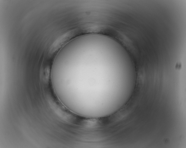 X0000113270118200909171723