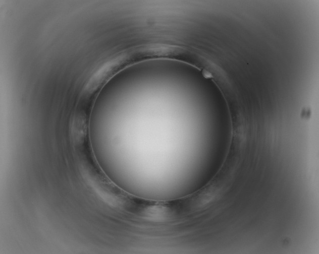 X0000113270119200909171723