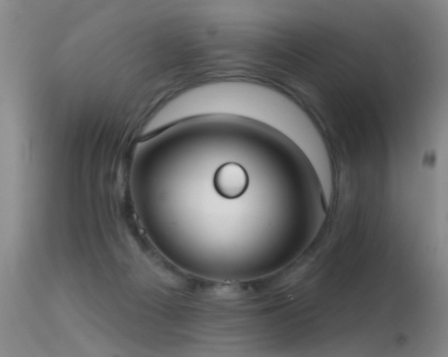 X0000113270121200909171722