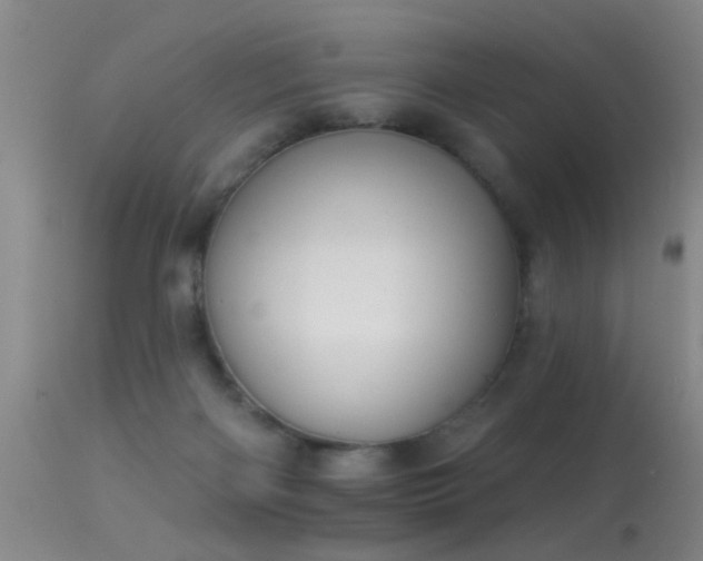 X0000113270122200909171722