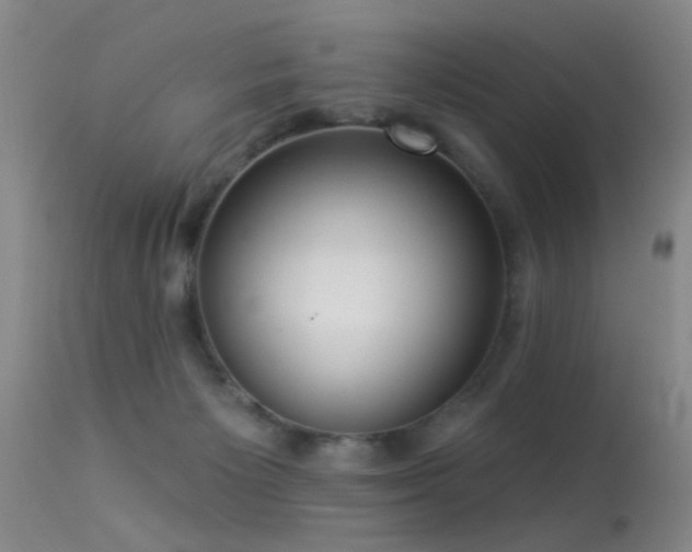 X0000113270125200909171722