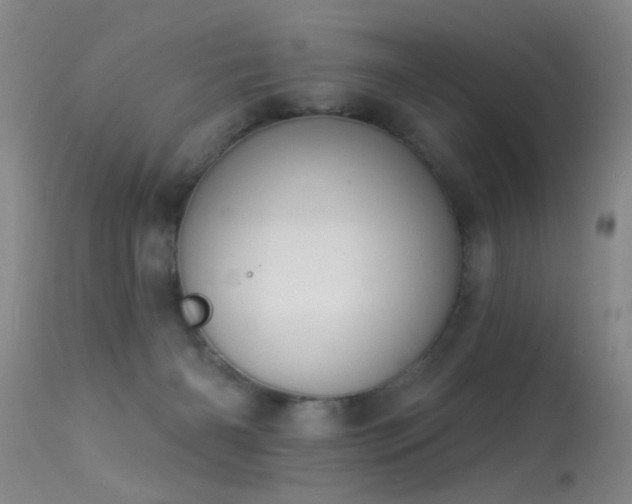 X0000113270126200909171722