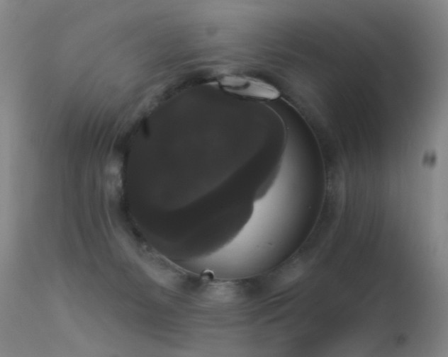 X0000113270127200909171722