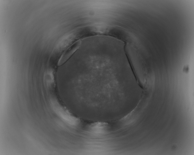 X0000113270128200909171722