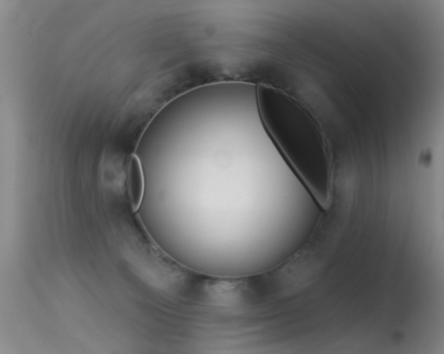 X0000113270129200909171722