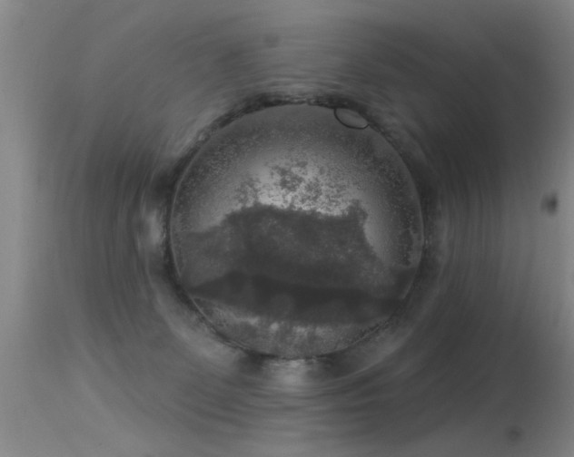 X0000113270131200909171722