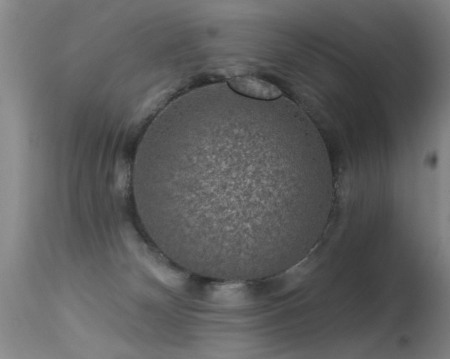 X0000113270132200909171722