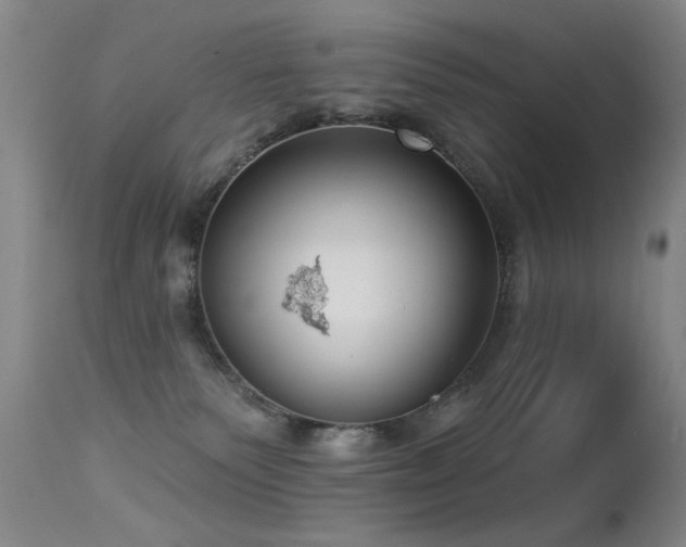 X0000113270135200909171722