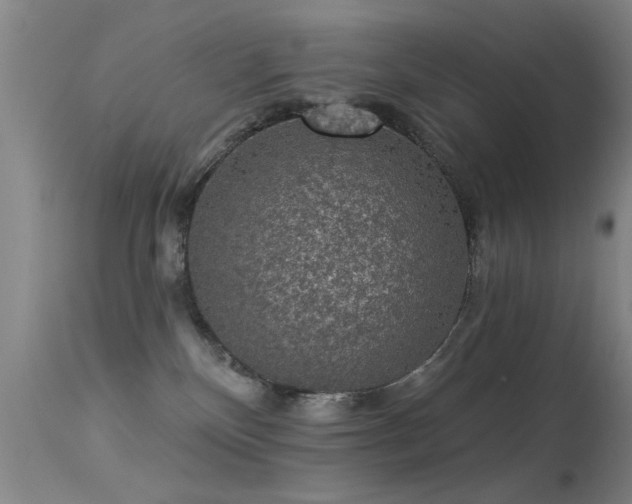 X0000113270136200909171722