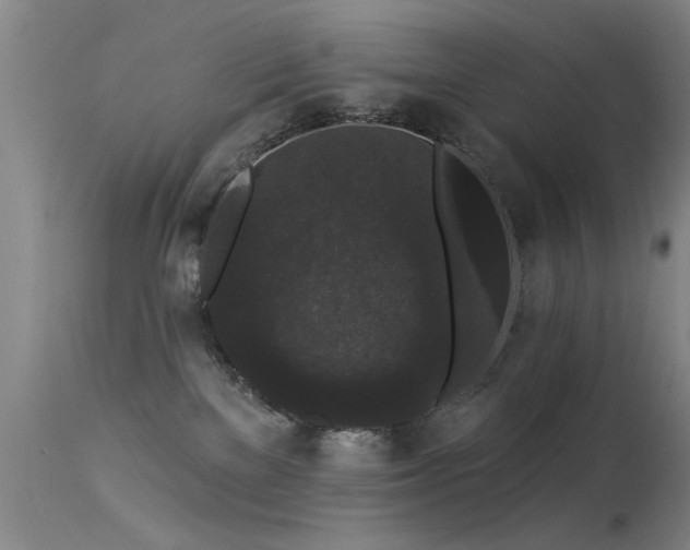 X0000113270137200909171722