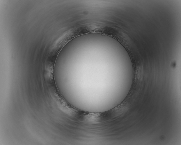 X0000113270138200909171722