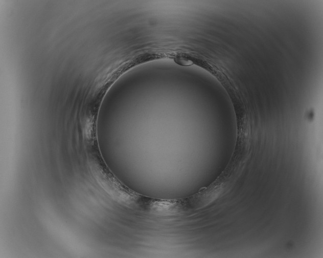 X0000113270139200909171722