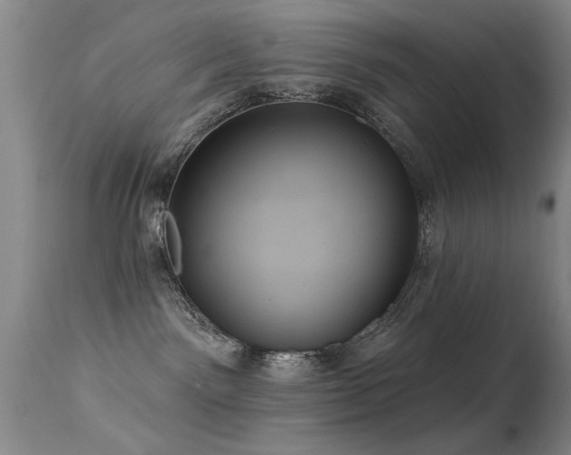 X0000113270141200909171722