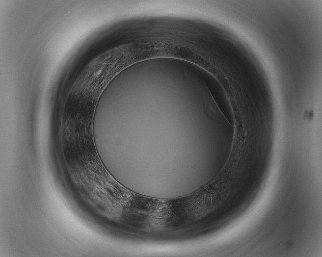 X0000113270143200909171722