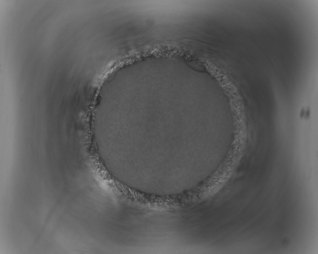 X0000113270144200909171722