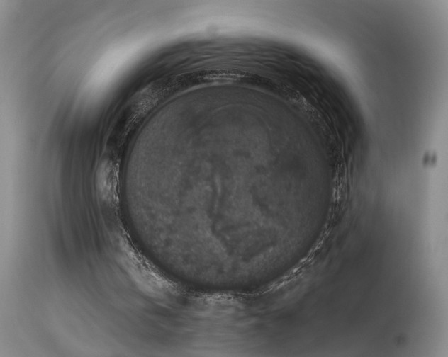 X0000113270146200909171722