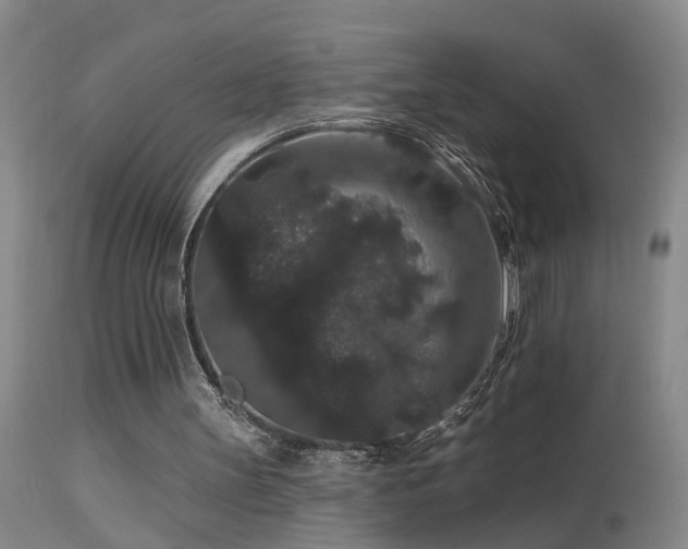 X0000113270147200909171722