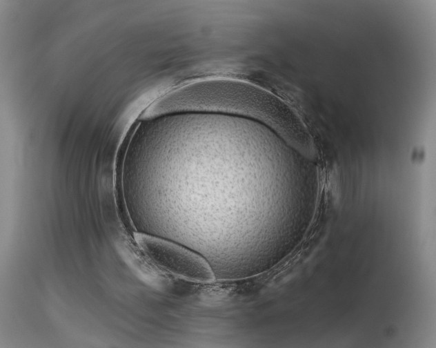 X0000113270148200909171722