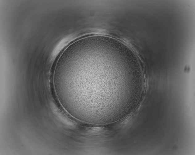 X0000113270151200909171722