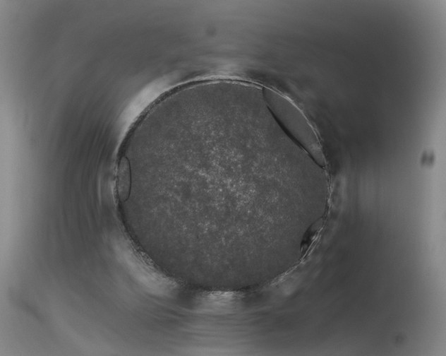 X0000113270152200909171722