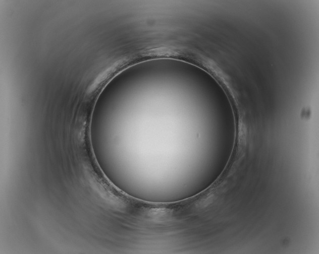 X0000113270153200909171722