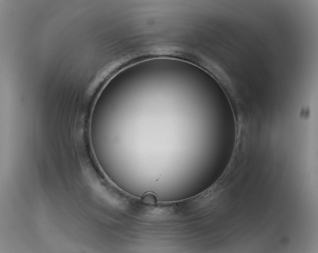 X0000113270155200909171722