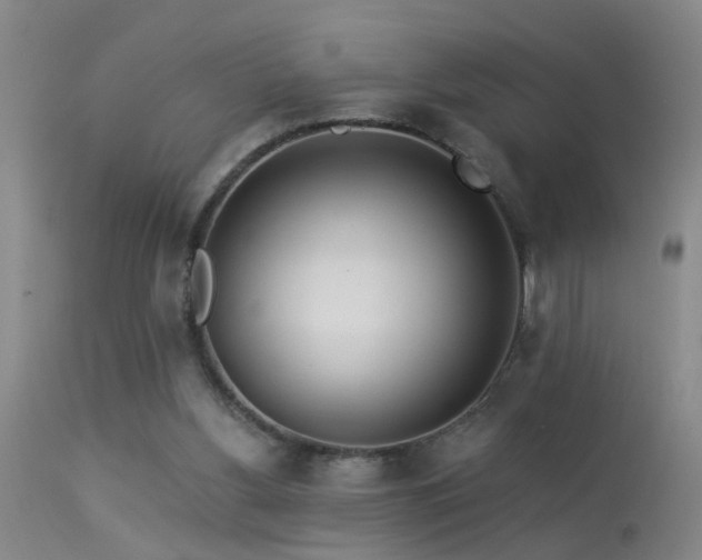 X0000113270156200909171722