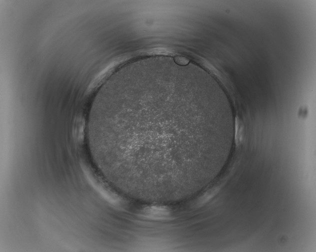 X0000113270157200909171722
