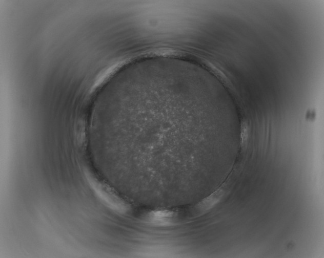 X0000113270158200909171722