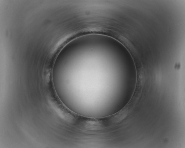 X0000113270160200909171722