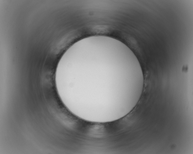 X0000113270162200909171722