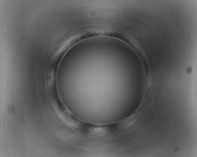 X0000113270163200909171722