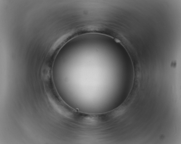 X0000113270164200909171722