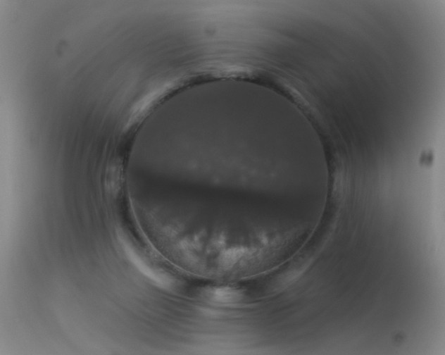 X0000113270165200909171722