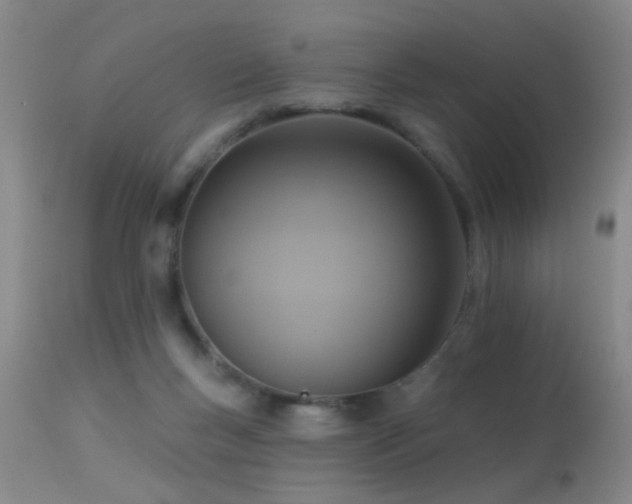 X0000113270167200909171722