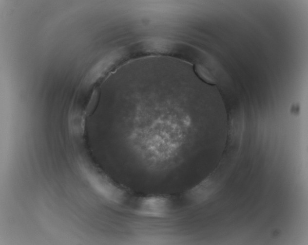 X0000113270168200909171722