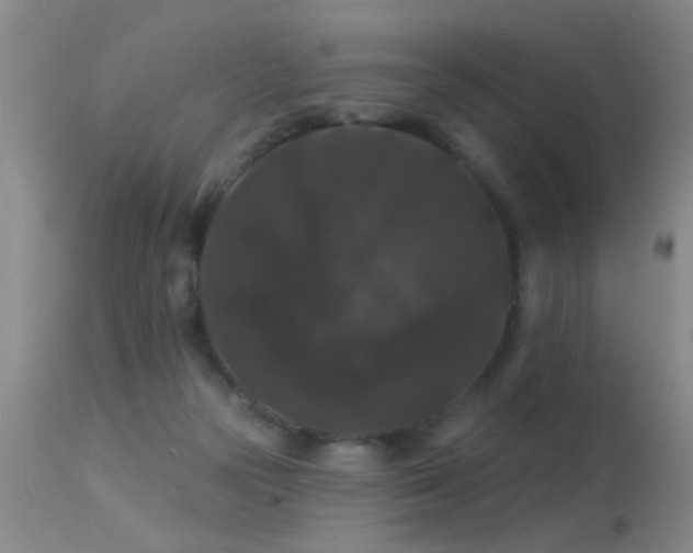 X0000113270169200909171722