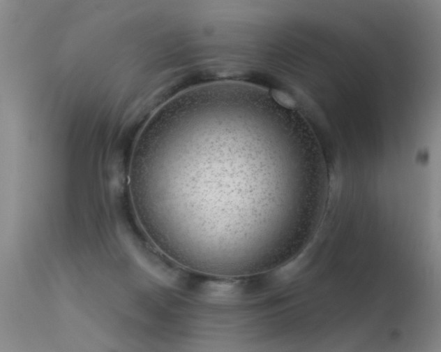 X0000113270170200909171722