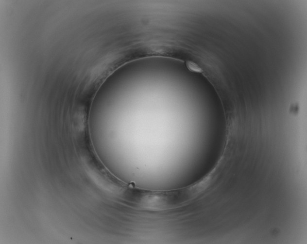 X0000113270174200909171722