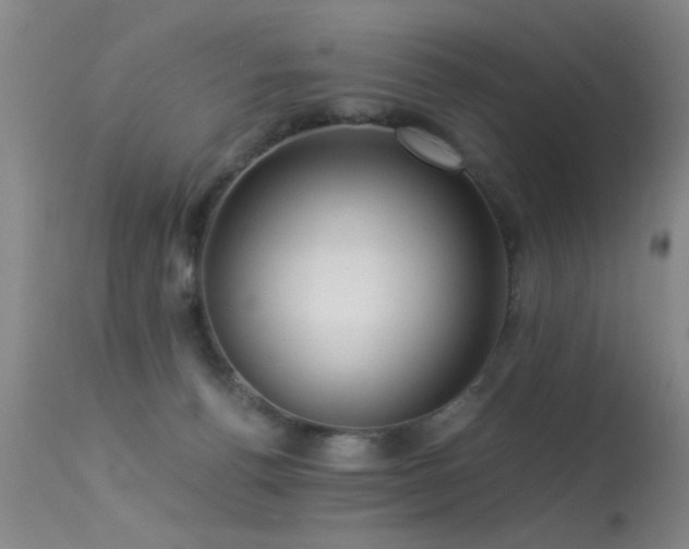 X0000113270176200909171722