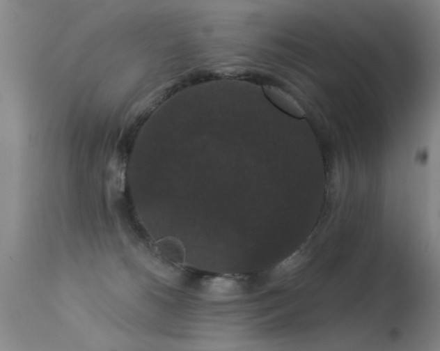 X0000113270180200909171722