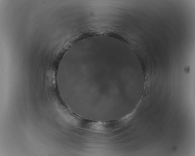 X0000113270182200909171722