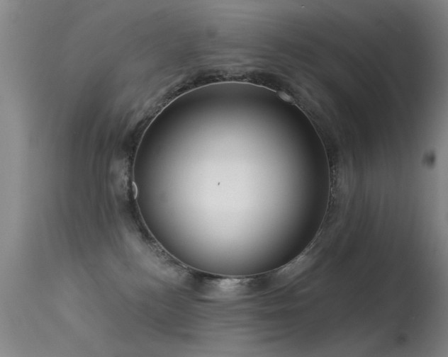 X0000113270184200909171722