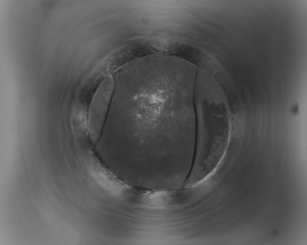 X0000113270186200909171722