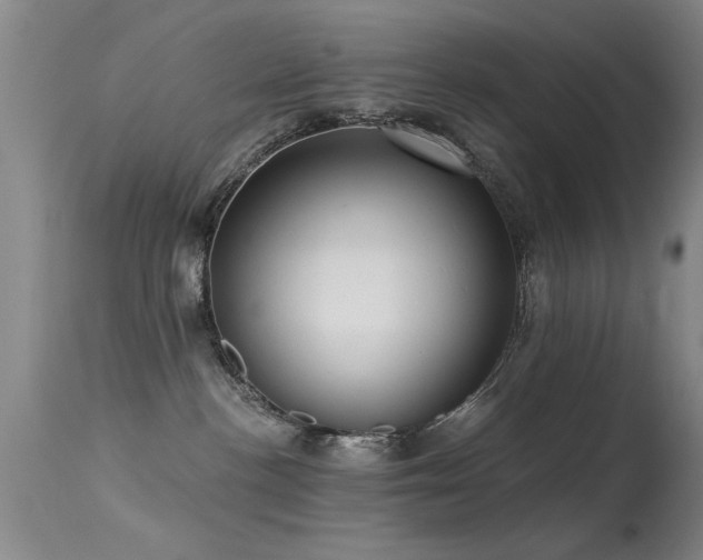 X0000113270188200909171722