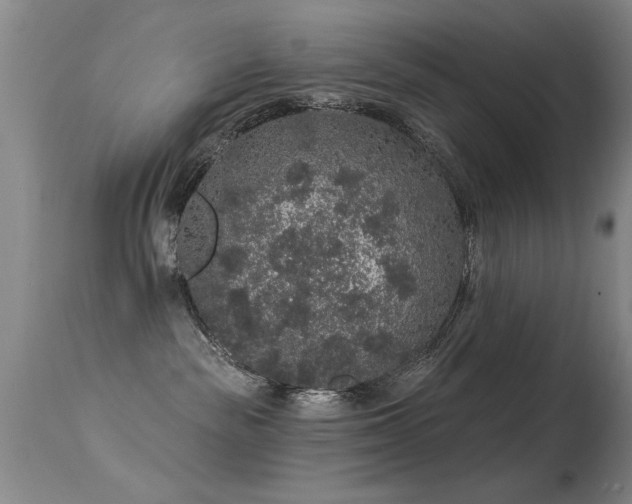 X0000113270189200909171722