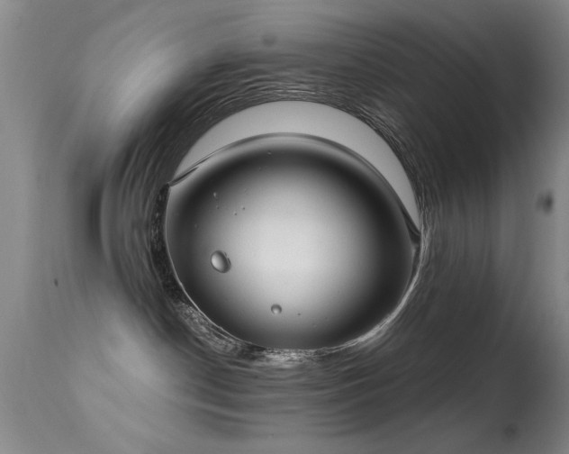 X0000113270190200909171722