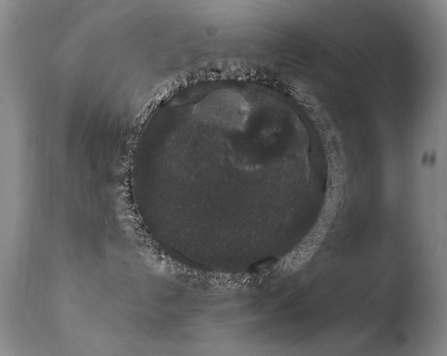 X0000113270192200909171722