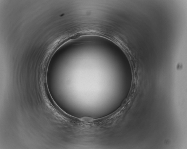 X0000113270193200909171721