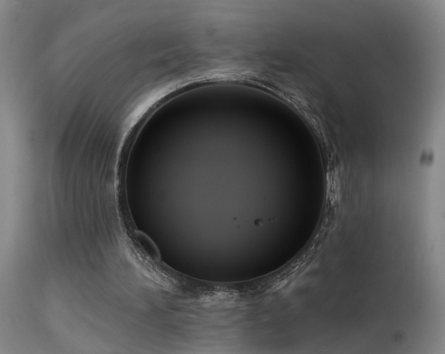 X0000113270196200909171721